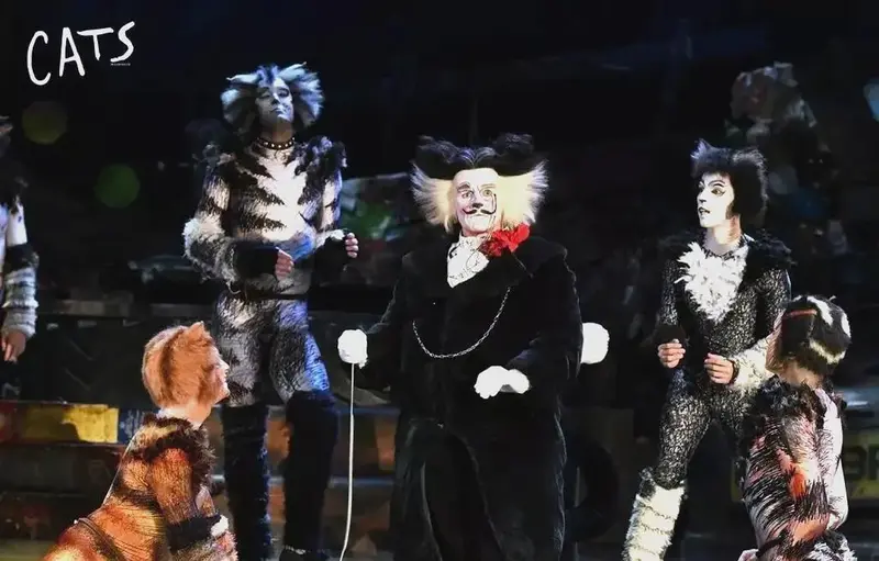 音乐剧《猫》全新巡演:经典与新体验的碰撞