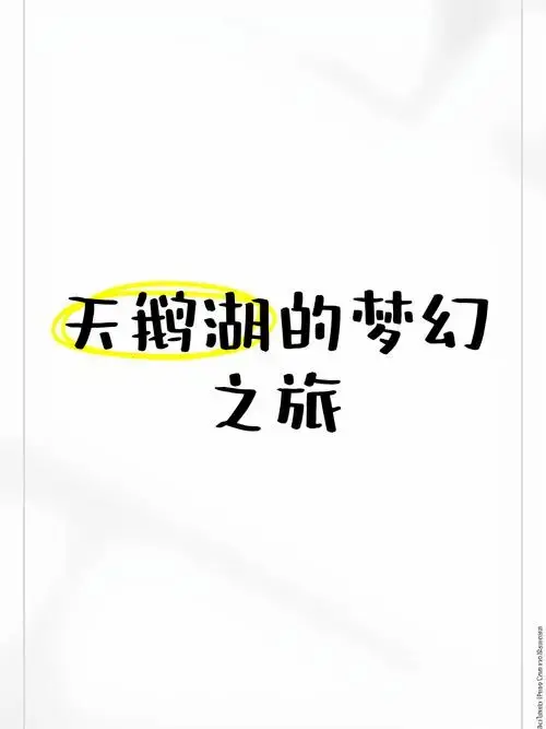 🦢天鹅湖的梦幻之旅🎭