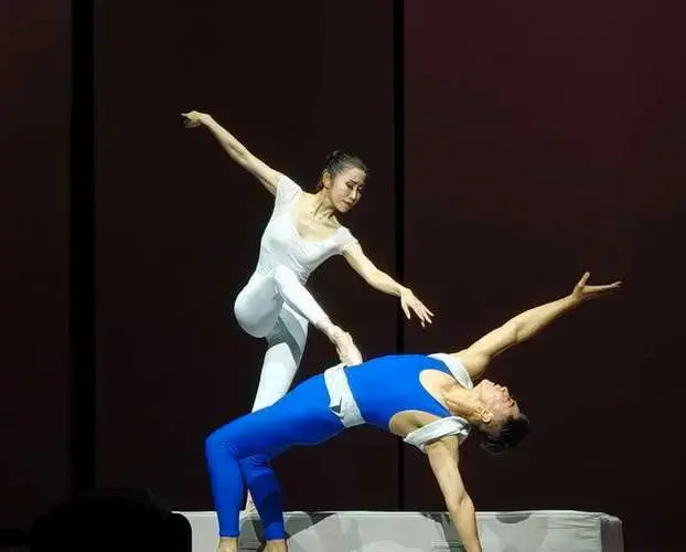 杂技剧《天鹅》莫斯科首演:真正的艺术超越一切语言