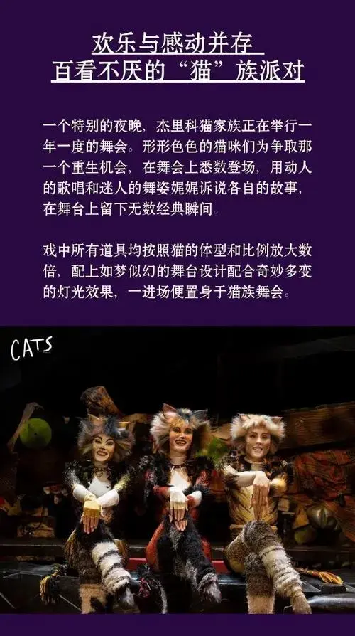 世界经典巨作 英文原版音乐剧《cats 猫》⏰演出时间:2024年11月8