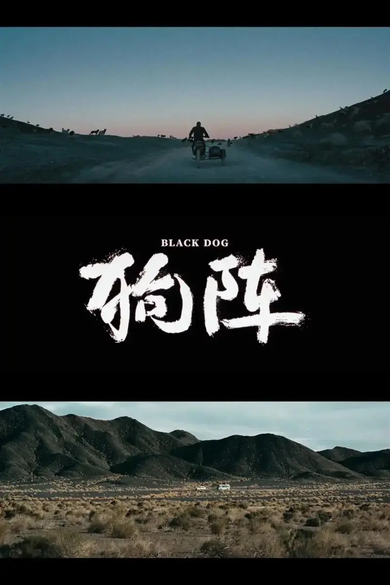 一场震撼心灵的人性与救赎之旅🎬.
