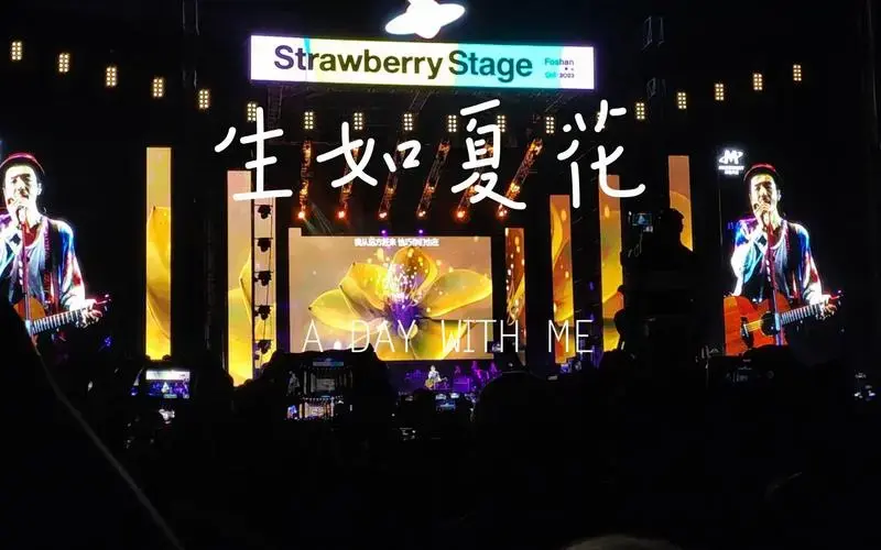 朴树《生如夏花》2023佛山草莓音乐节开场曲