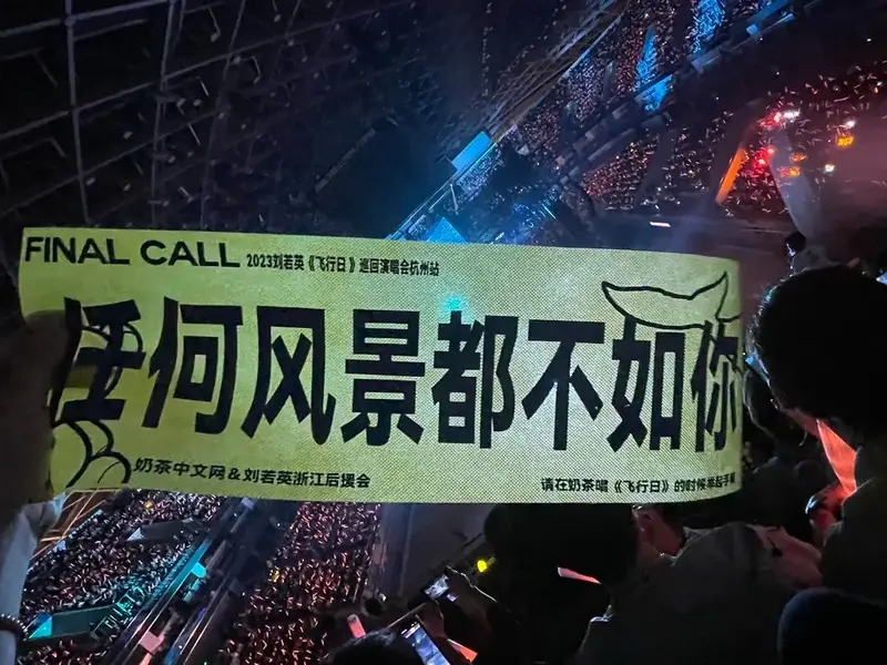 第一次看演唱会,全场大合唱的感动.