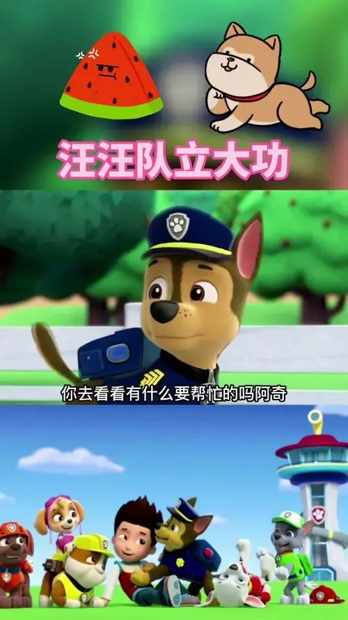 汪汪队立大功