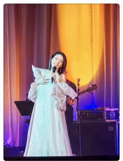 戴佩妮上海演唱会:简单与真实的音乐之夜