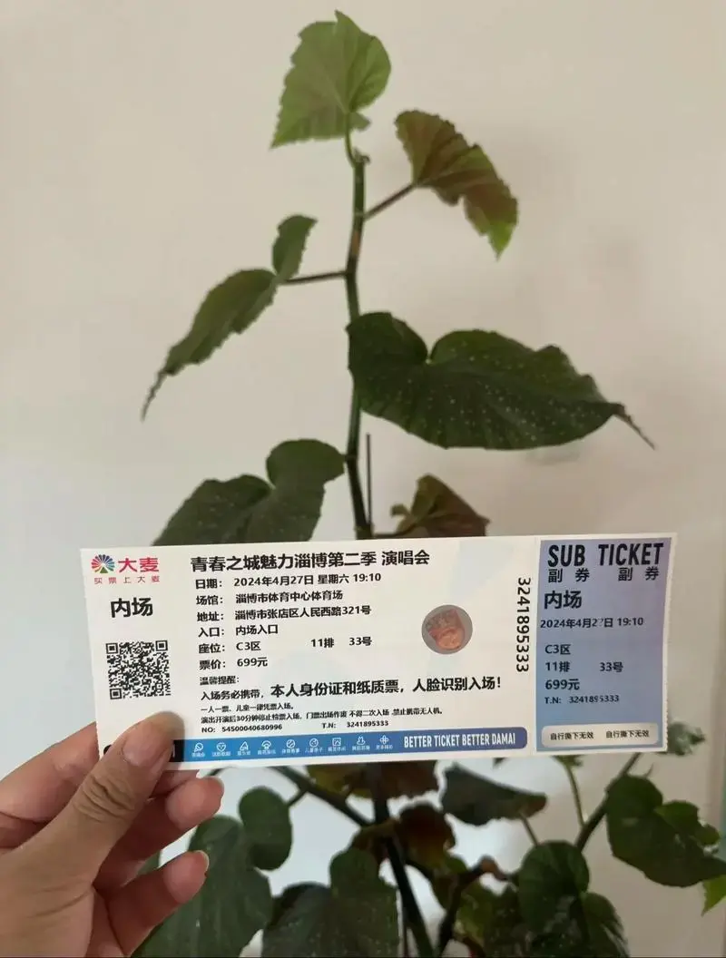2024青春之城魅力淄博演唱会第二季门票已到.一切就绪,只待 - 抖音
