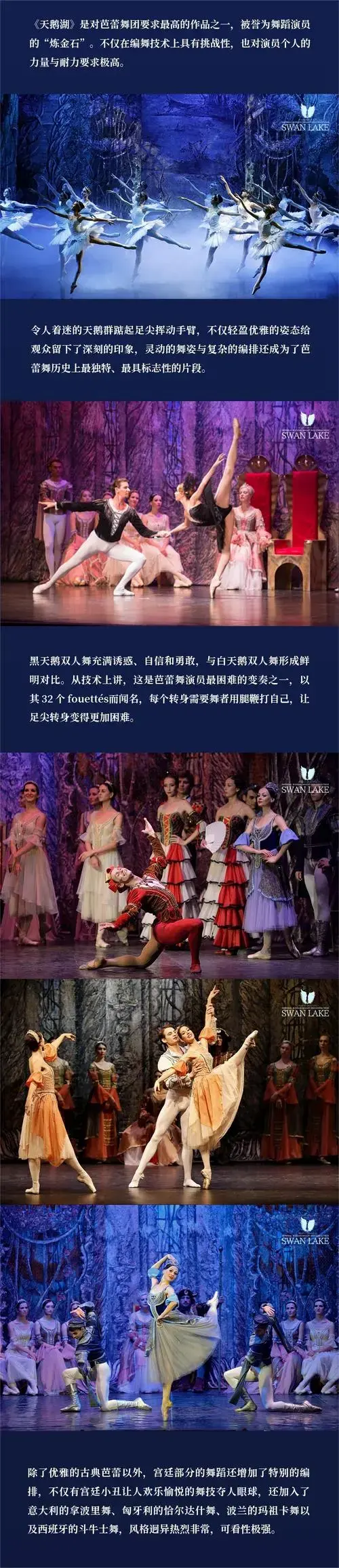 【北京】俄罗斯皇家芭蕾舞团《天鹅湖》2024巡演21周年至臻呈现