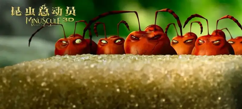 昆虫总动员3d