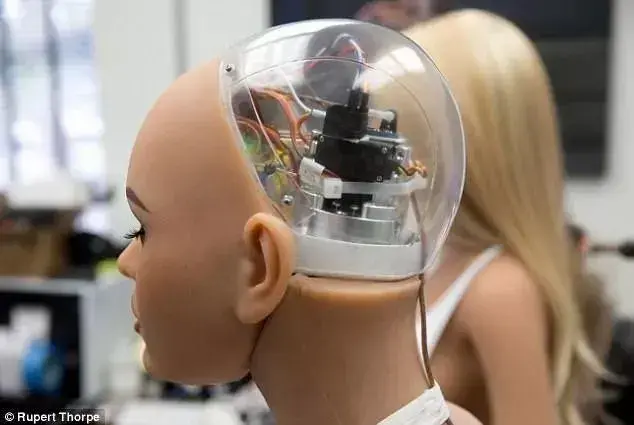 世界第一款性爱机器人价值10万功能到底有多强让你大开眼界
