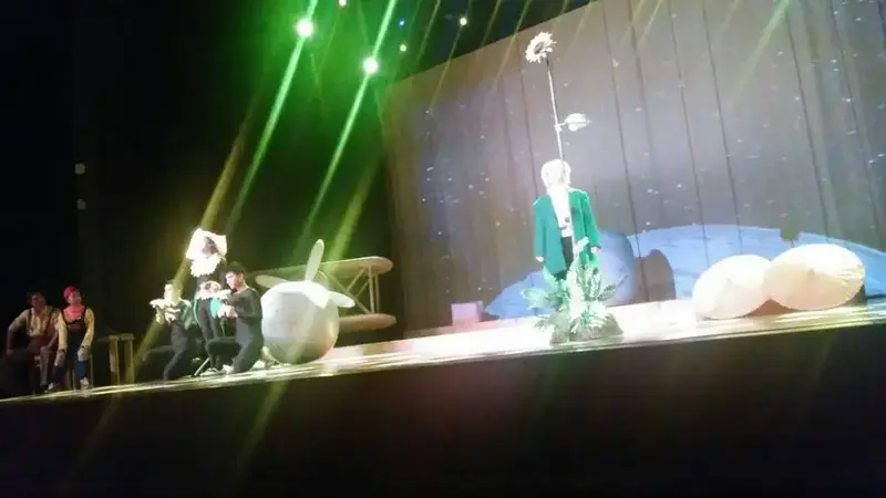 罗湖文化志愿总队——丑小鸭音乐剧《小王子》全国巡演深圳站圆满成功
