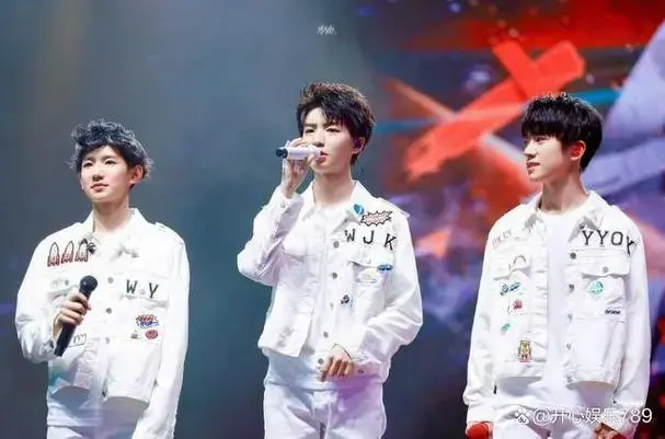 网传tfboys十周年演唱会备案