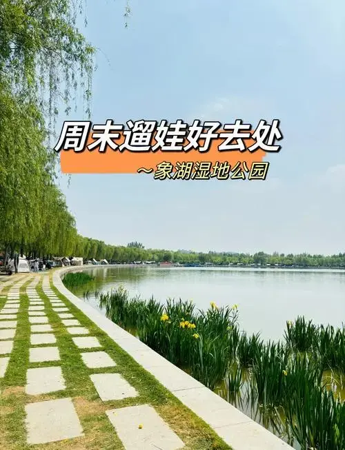 郑州周末遛娃好去处:象湖湿地公园