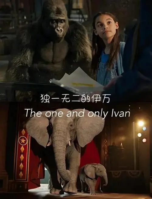 亲子电影精选,寓教于乐!