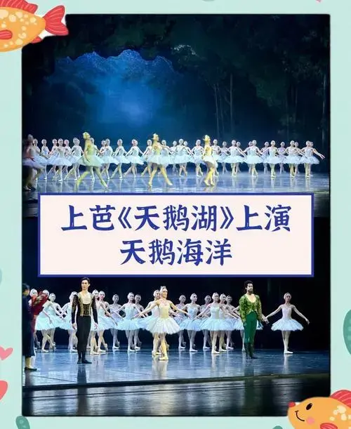 昨晚有幸观赏了上海芭蕾舞团演绎的《天鹅湖》,真的是一场视觉与叹貂