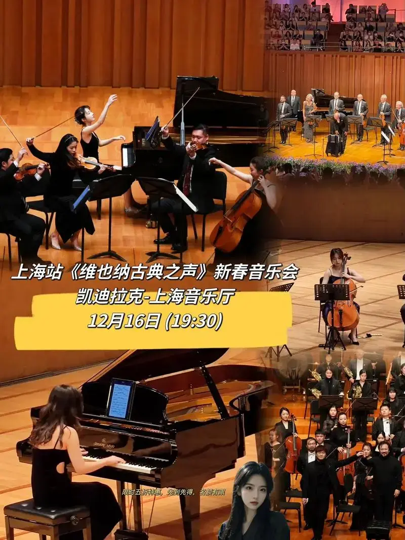 《维也纳古典之声》新春音乐会