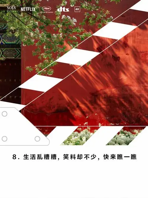 乱来语录,笑料百出不容错过