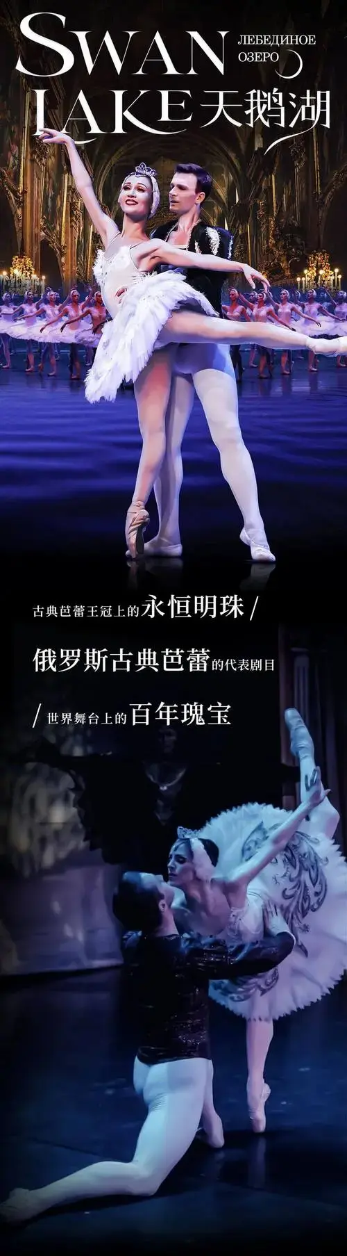 开票预告 | 俄罗斯莫斯科芭蕾舞团经典舞剧《天鹅湖》新年起舞