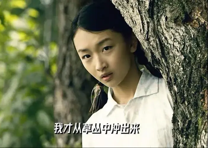 以静秋的视角打开《山楂树之恋》 