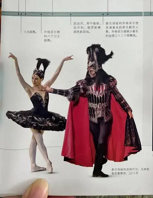 芭蕾舞剧天鹅湖故事情节剧照