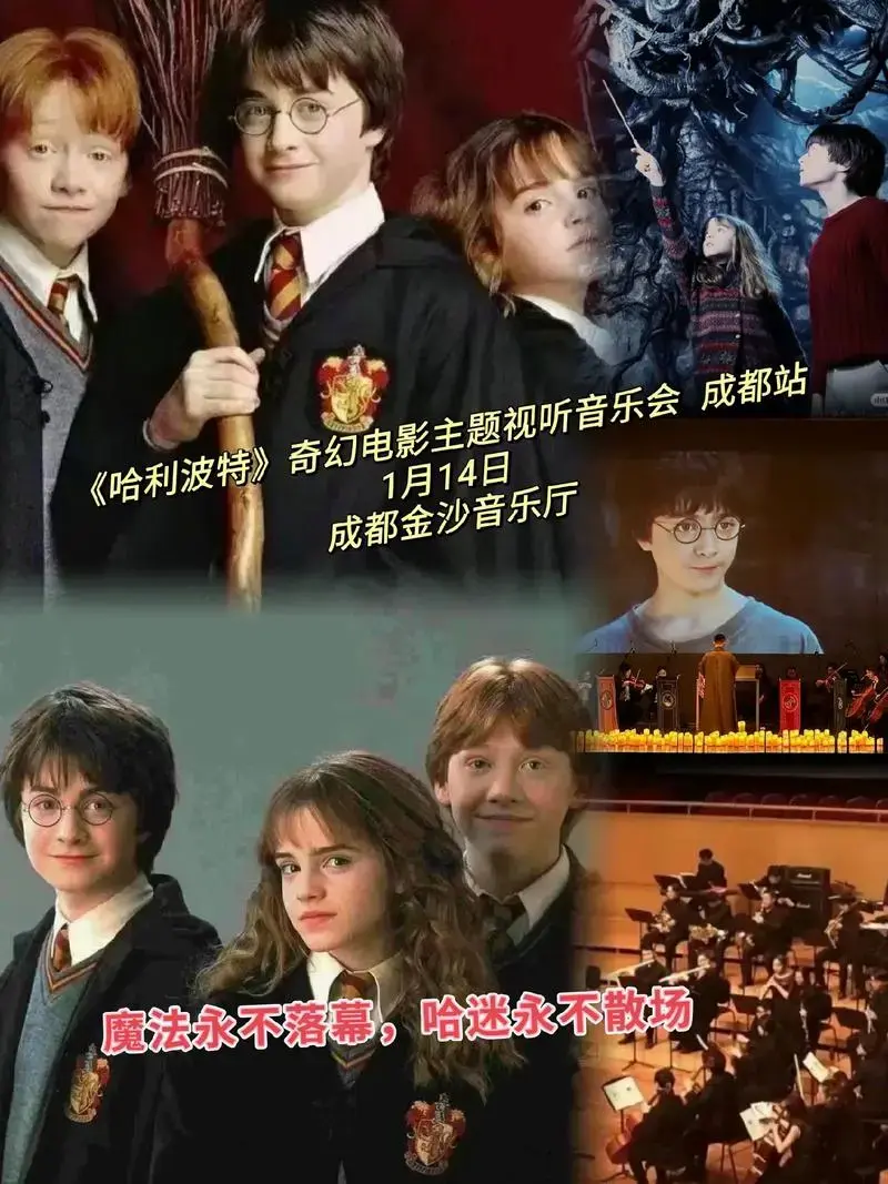 2024《哈利波特》奇幻电影主题视听音乐会成都站!前奏一响是 - 抖音