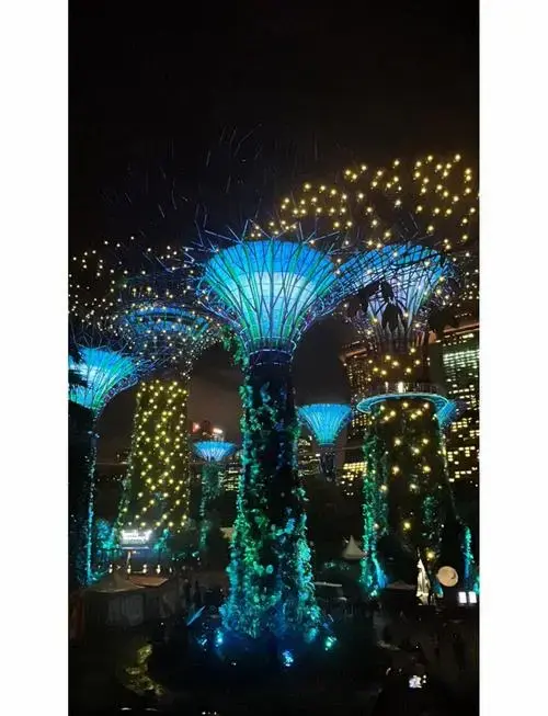 新加坡滨海湾花园夜景推荐