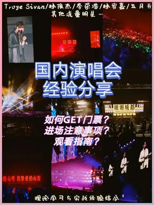 国内演唱会干货分享抢票进场观看全攻略