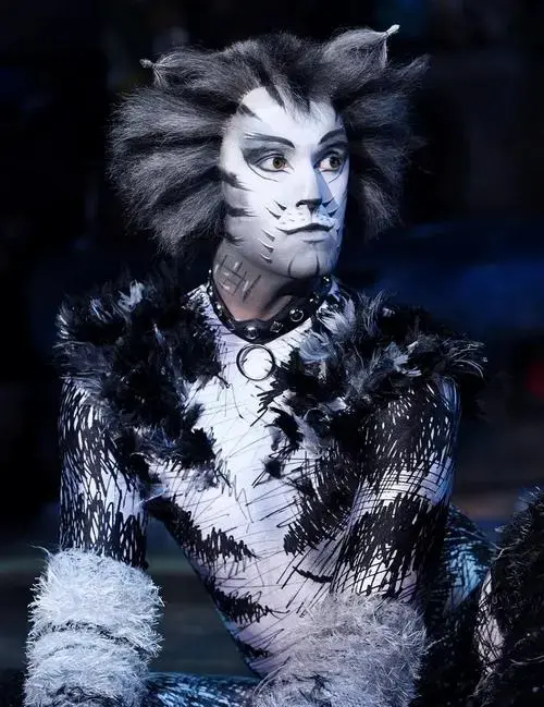 世界典原版音乐剧《猫》| 一生必看的典藏,全球亿的永恒
