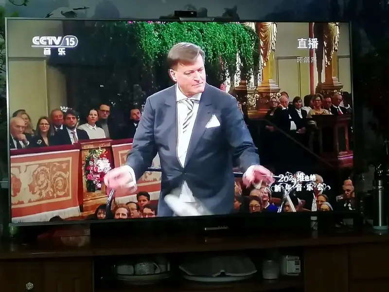 2024维也纳金色大厅,新年音乐会! - 抖音