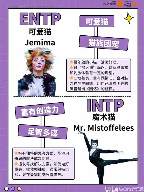 《猫》cats音乐剧角色mbti大全!