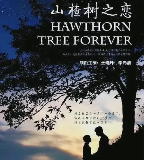 《山楂树之恋》的深情与遗憾
