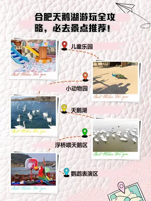 合肥天鹅湖游玩全攻略,必去景点推荐!