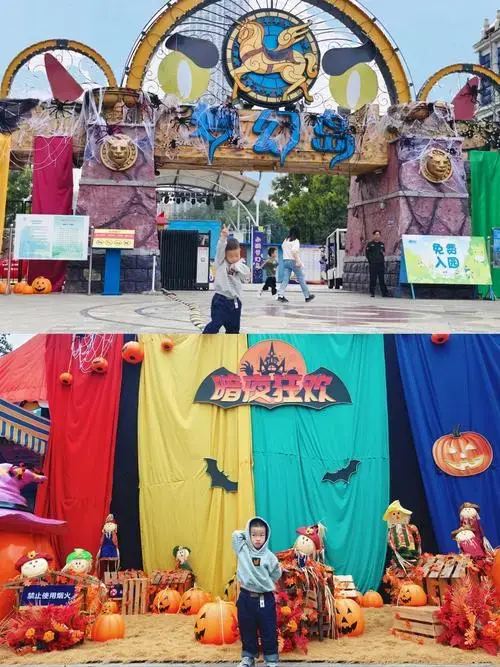 神秘的蜘蛛网🕸️,仿佛进入了一个奇幻的魔法世界!