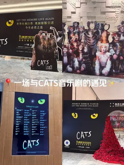 《猫》音乐剧:一场视听盛宴之旅