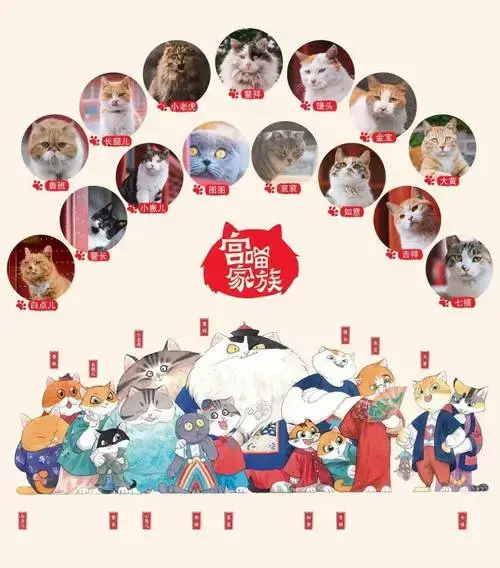 节气民俗 成长故事,寓教于乐宫喵家族的趣味