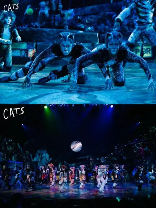 音乐剧传奇《猫》震撼开票2024必看神作来袭