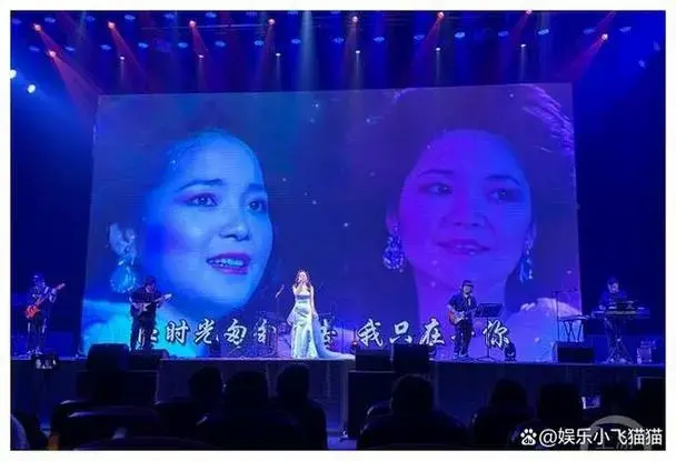 邓丽君怀旧经典音乐会听醉山城乐迷
