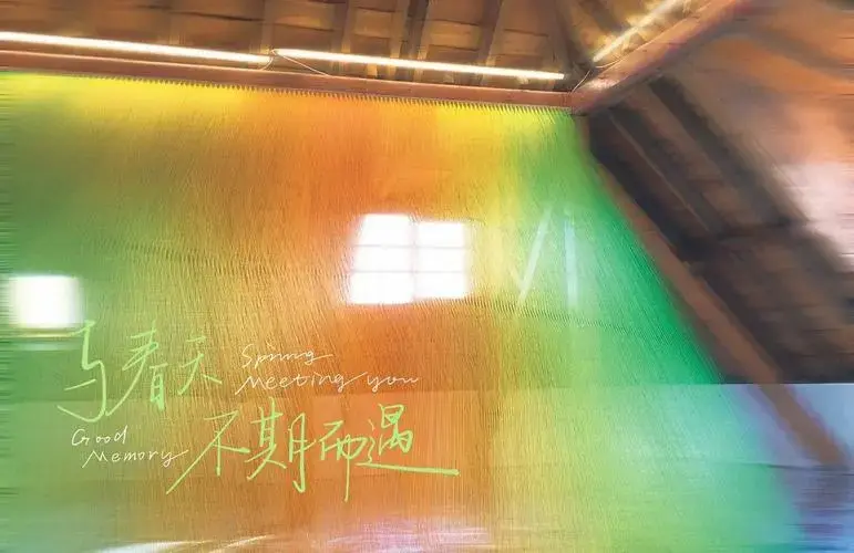 🐱青岛新展《我猫》沉浸式体验