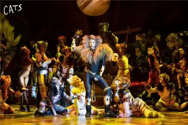 音乐总监 lewis bell,魅力猫饰演者lucy may barker (grizabella)