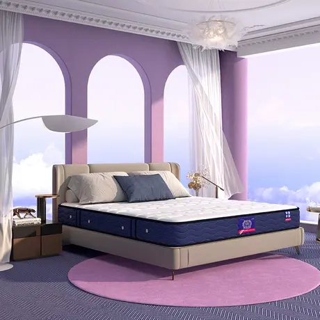 穗宝乳胶床垫独立袋装弹簧护脊双人床软硬双面1.8m床垫东方梦舒脊商品大图