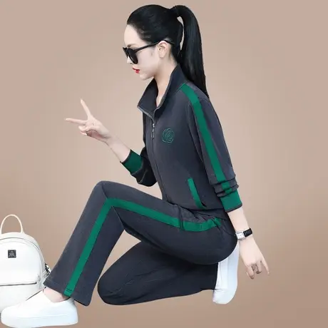 金丝绒套装女春秋2023年新款时髦显瘦直筒裤立领休闲运动服两件套图片