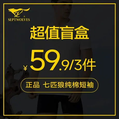七匹狼正品超值盲盒男士短袖t恤福袋【款式颜色随机发】商品大图