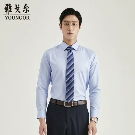 【DP免烫】雅戈尔CEO长袖衬衫秋季商务休闲素色纯棉柔软衬衫商品大图