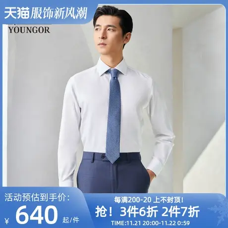 【商场同款】雅戈尔男士长袖衬衫春季商务休闲免烫衬衫S1863商品大图