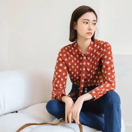 桔熊春秋季复古印花立领厚雪纺衬衫长袖上衣女胖妹妹大码AB16182图片