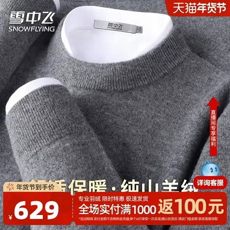 雪中飞25年男士【100山羊绒 温暖舒适】圆领纯色简约羊绒衫W图片