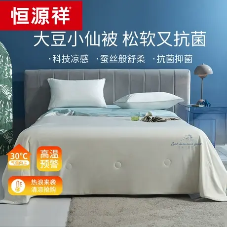 恒源祥冰丝凉感大豆夏凉被夏季薄款被子空调被芯春秋单双人可机洗图片
