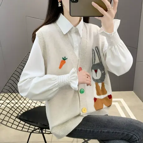 马甲针织背心女开衫春装外穿2025年春秋新款女士洋气马夹坎肩外搭图片