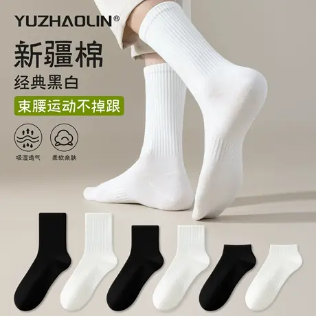 黑白色袜子男士纯色新疆棉运动中筒袜夏季中短筒袜防臭吸汗长筒袜商品大图