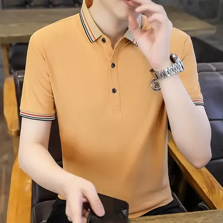 翻领T恤男士半袖体恤2023夏季宽松潮流休闲短袖polo衫男生上衣服商品大图