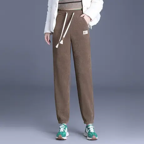 加绒加厚休闲裤女秋冬2023新款松紧腰显瘦束脚哈伦裤百搭时尚长裤商品大图